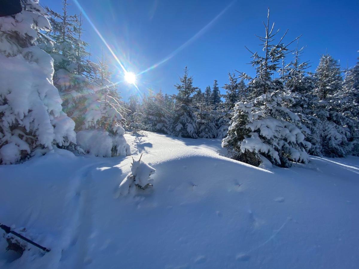 Top Fewo Mit Sommercard Winterberg Dış mekan fotoğraf